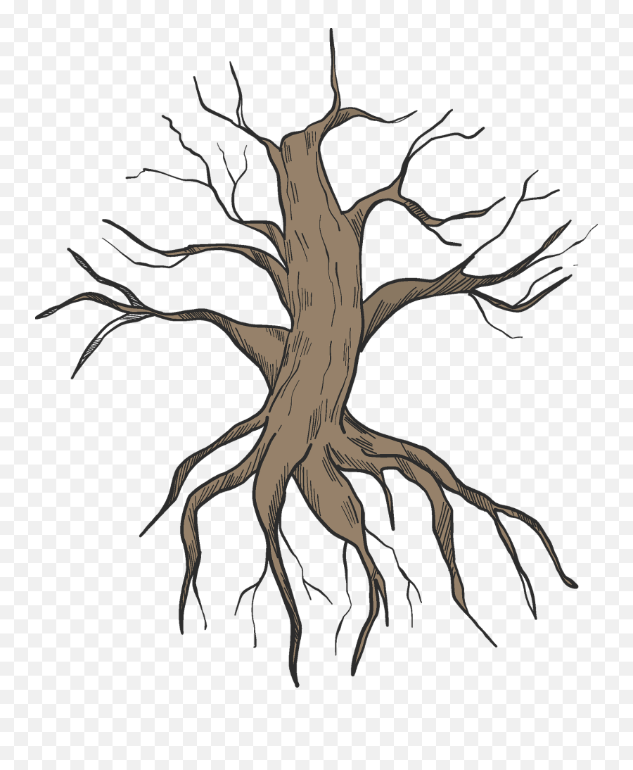 Dried - Tree Emoji,Roots Png