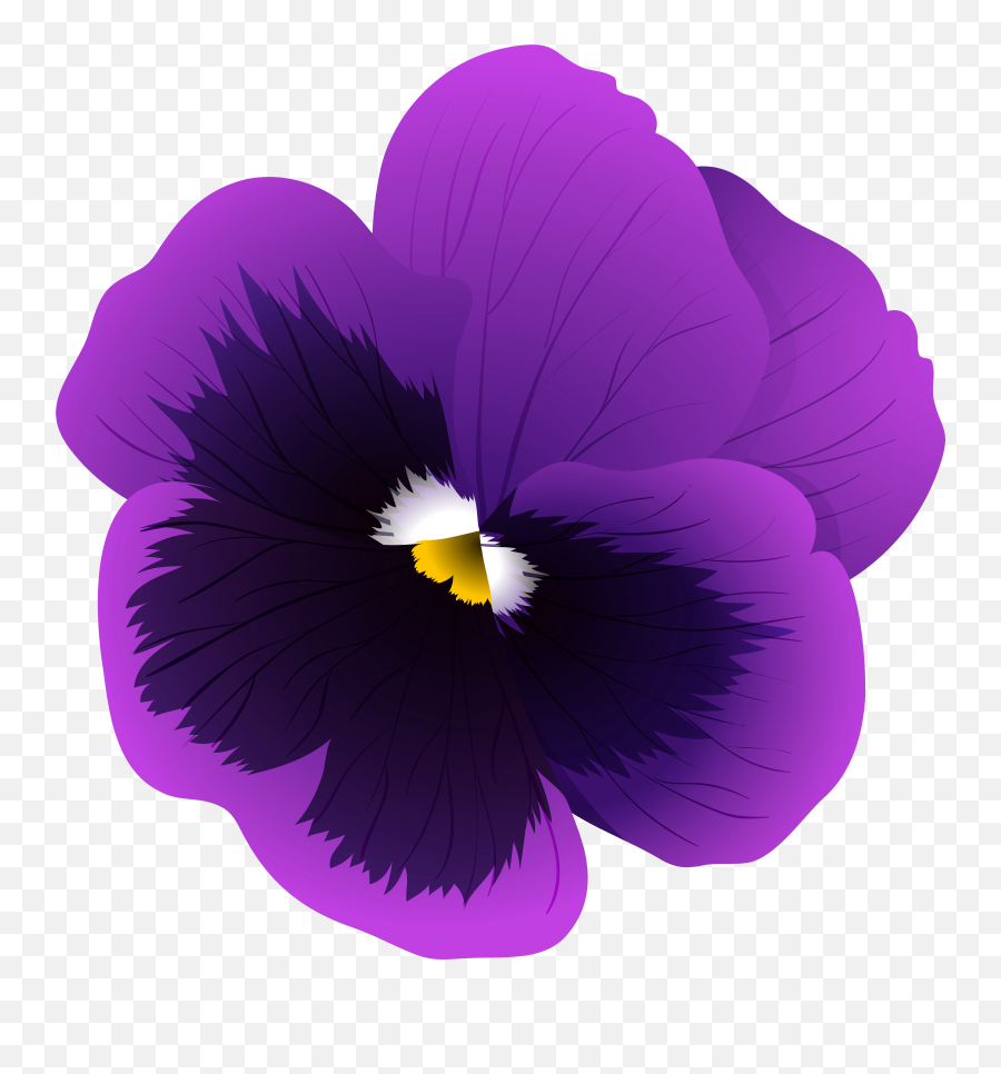 Library Of Violet Flower Graphic Free - Transparent Transparent Background Violet Flower Emoji,Purple Flower Clipart