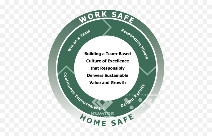 Safety Of Employees Kumtor Gold Company - Army Aviation Association Of America Emoji,Safe Logo