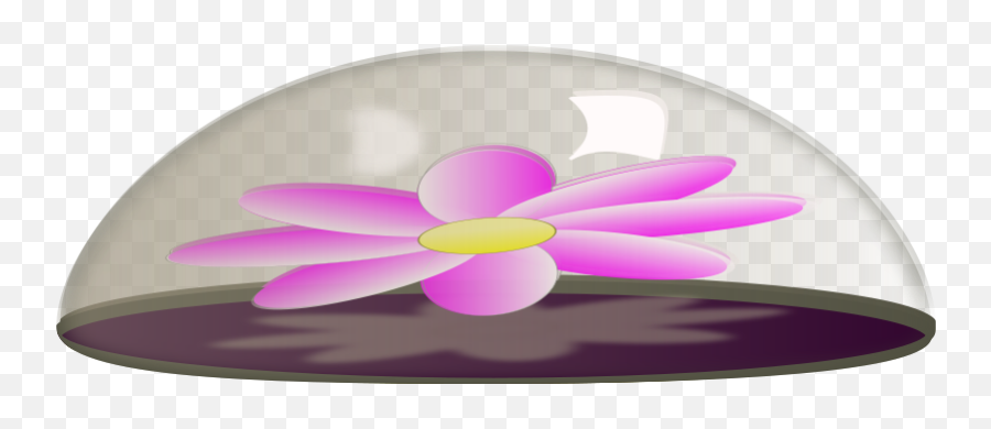 Flower In Glass Paper Weight - Girly Emoji,Weight Clipart
