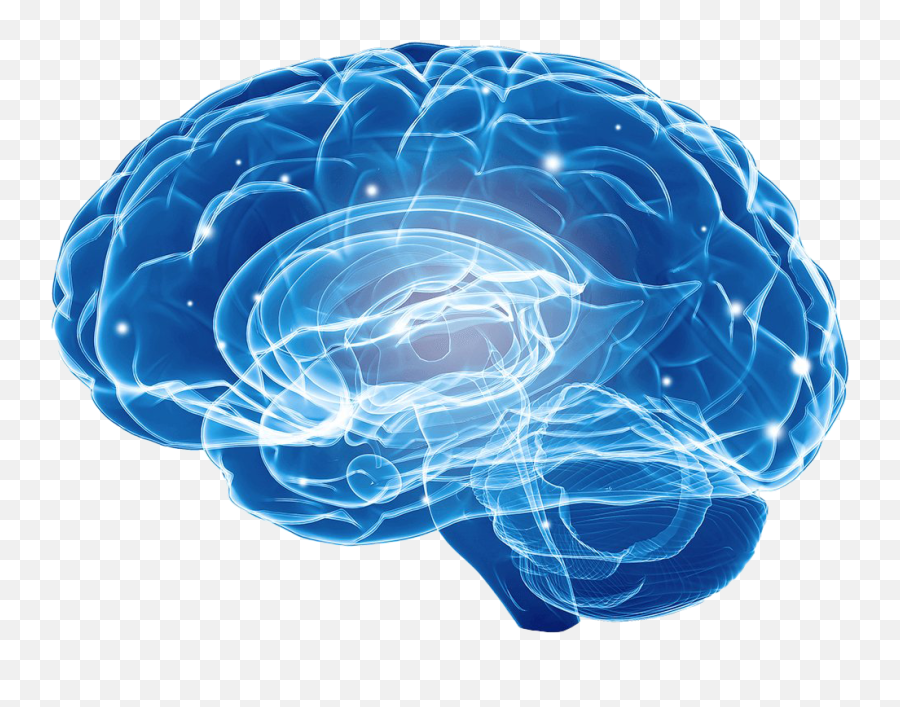 Blue Brain Png Image - Transparent Blue Brain Png Emoji,Brain Png