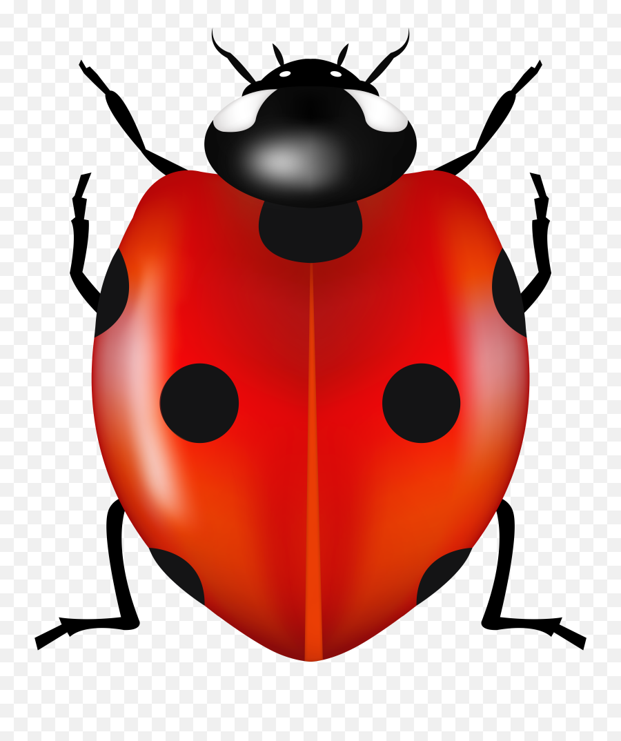 Free Ladybug Clipart Red Png Gallery Emoji,Ladybug Clipart