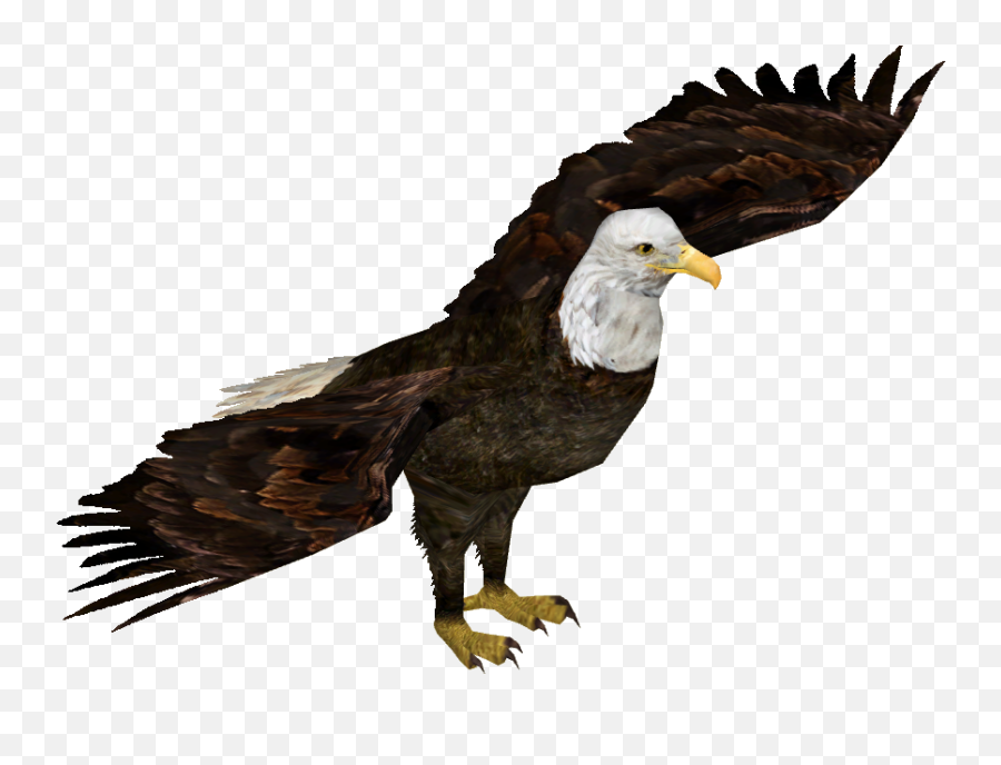 Wedge Tailed Eagle Transparent Png Download - Zt2 Bald Wedge Tailed Eagle Transparent Background Emoji,Bald Eagle Png