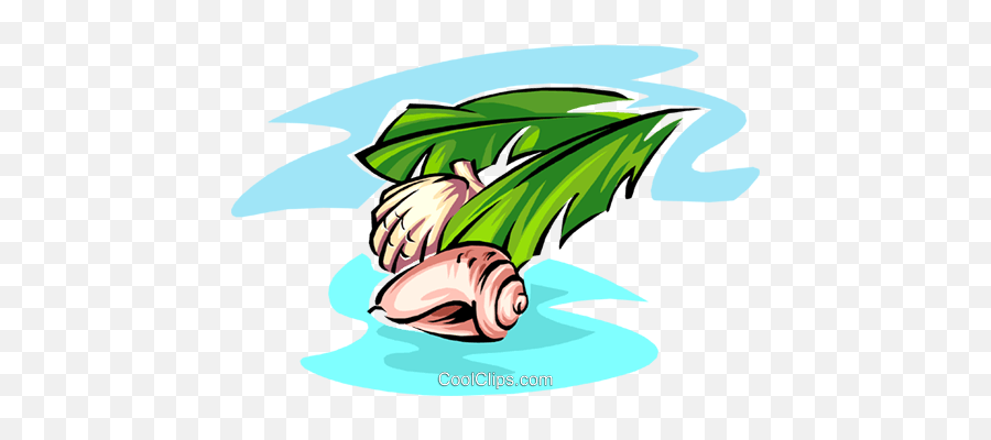 Sea Shells Royalty Free Vector Clip Art Illustration - Clip Art Mare Conchiglie Emoji,Shells Clipart