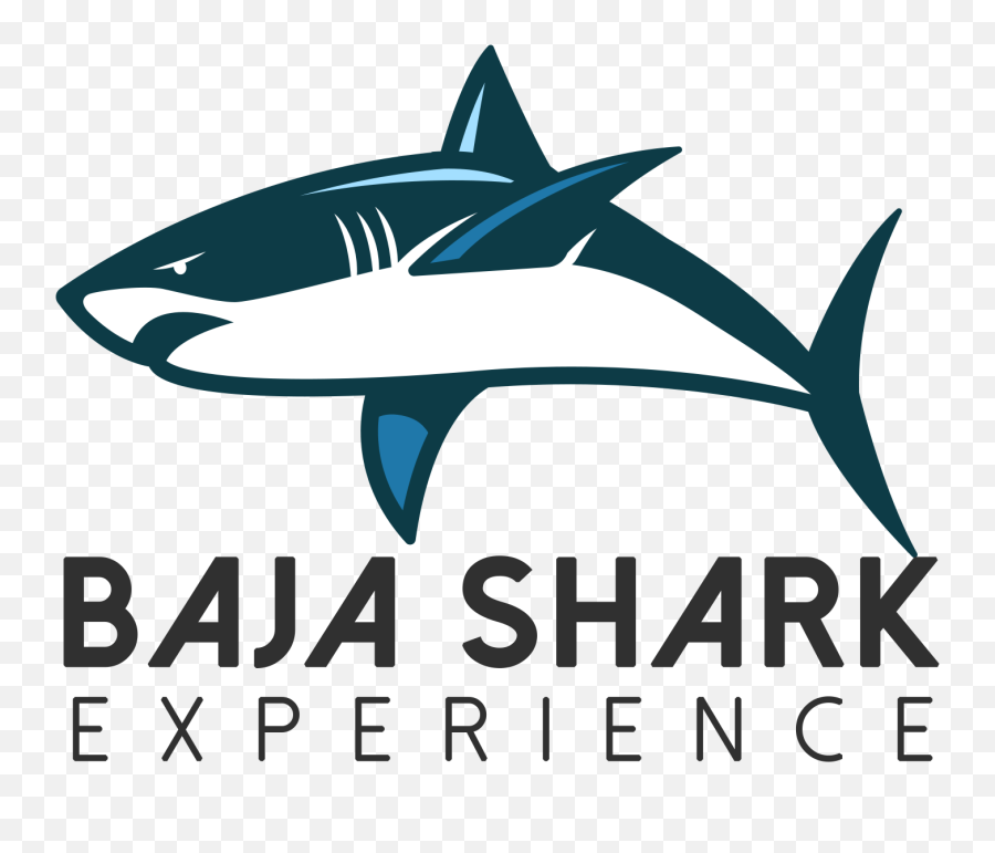Cabo San Lucas Shark Dive Emoji,Shark Logo