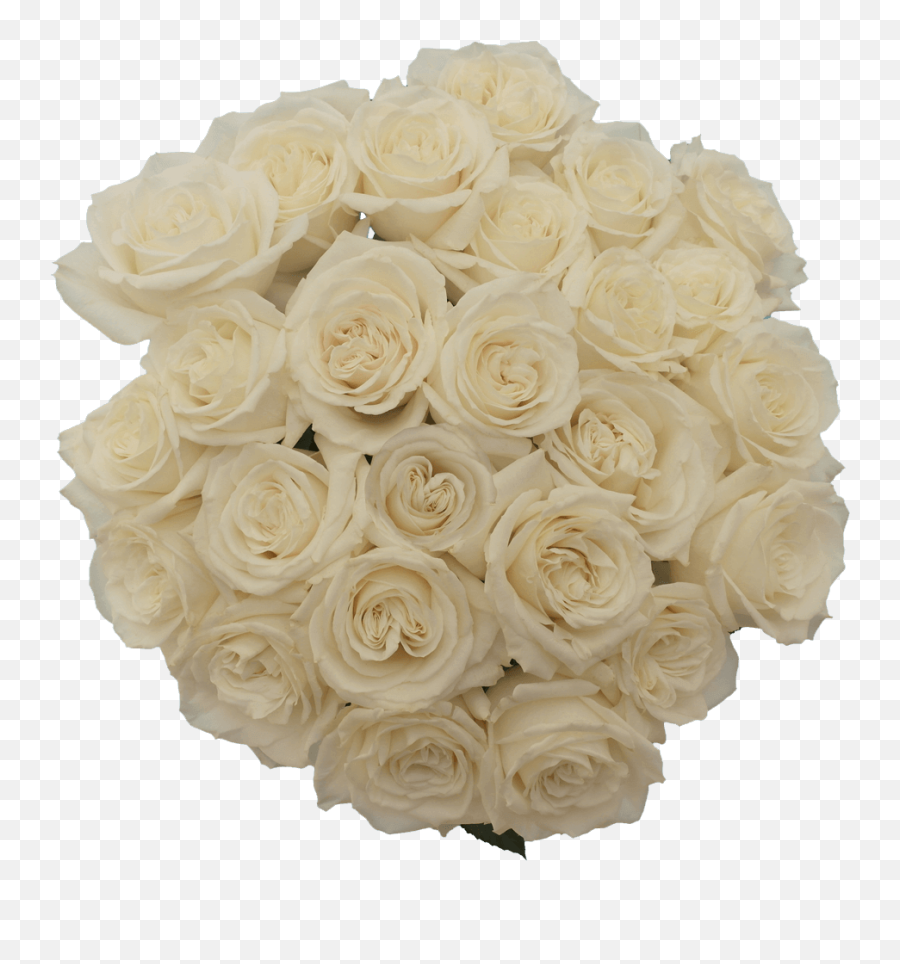 50 Stems Of White Playa Blanca Roses - Beautiful Fresh Cut Flowers Express Delivery Emoji,White Roses Png