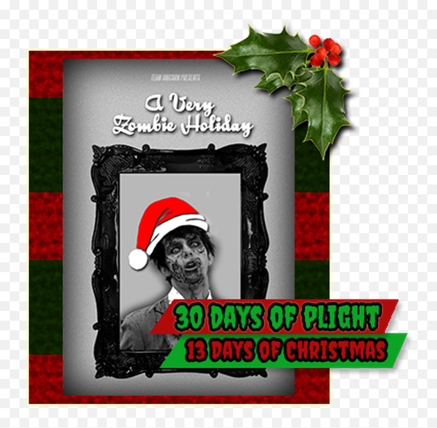 13 Days Of Christmas Day - Picture Frame Transparent Png Emoji,Merry Christmas Frame Png