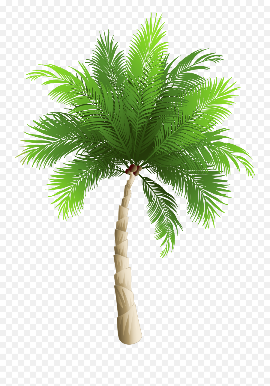 Surfing Clipart Palm Tree Transparent - Clipart Palm Trees Png Emoji,Palm Tree Transparent