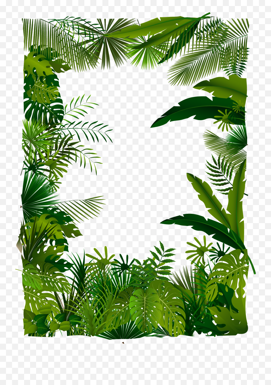 Download Trees Tree Illustration Tropical Euclidean Vector - Tropical Tree Png Vector Emoji,Forest Clipart
