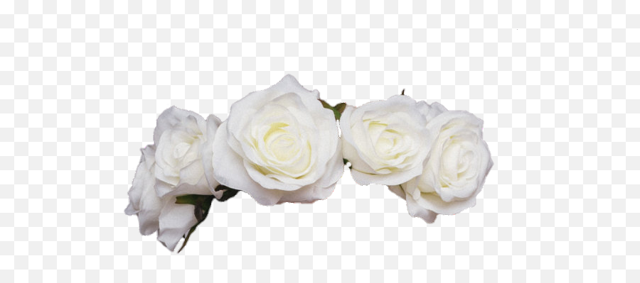 Largest Collection Of Free - Toedit Whiterose Stickers On Emoji,White Roses Png