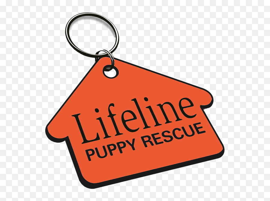 Fire Rescue Dogs Night With The Colorado Avalanche - Lifeline Puppy Rescue Emoji,Colorado Avalanche Logo