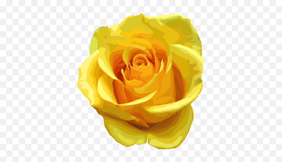 Yellow Rose Png Transparent Image - Yellow Rose White Background Png Emoji,Rose Transparent Background