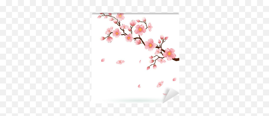 Cherry Blossom With Falling Petals Wall Mural U2022 Pixers - We Live To Change Cherry Blossom Branch Emoji,Cherry Blossom Petals Png