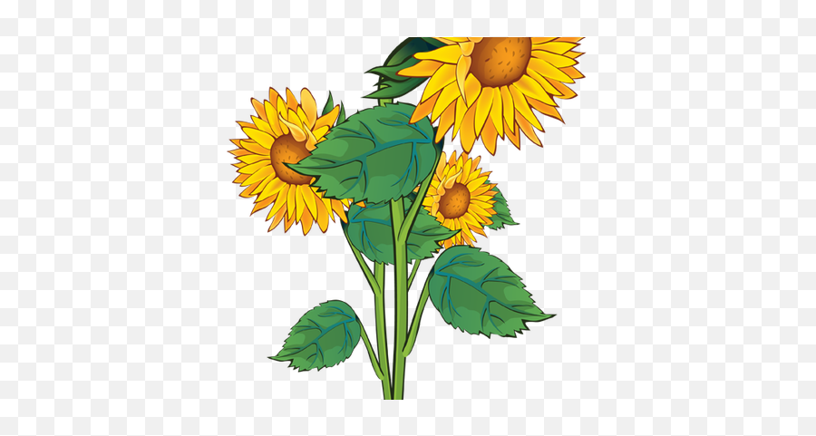 Sunflower Border Clip Art Clipart - Outline Of Sunflower Emoji,Sunflower Border Clipart
