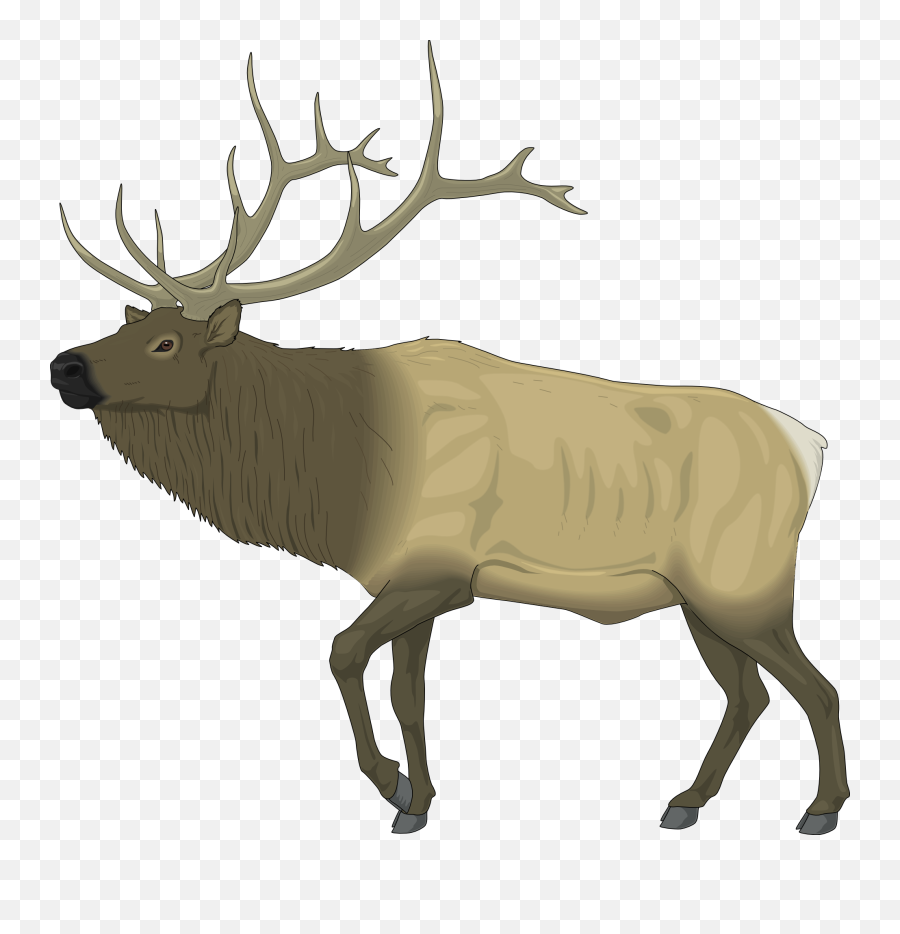 Best Moose Clipart - Clip Art Elk Emoji,Moose Clipart