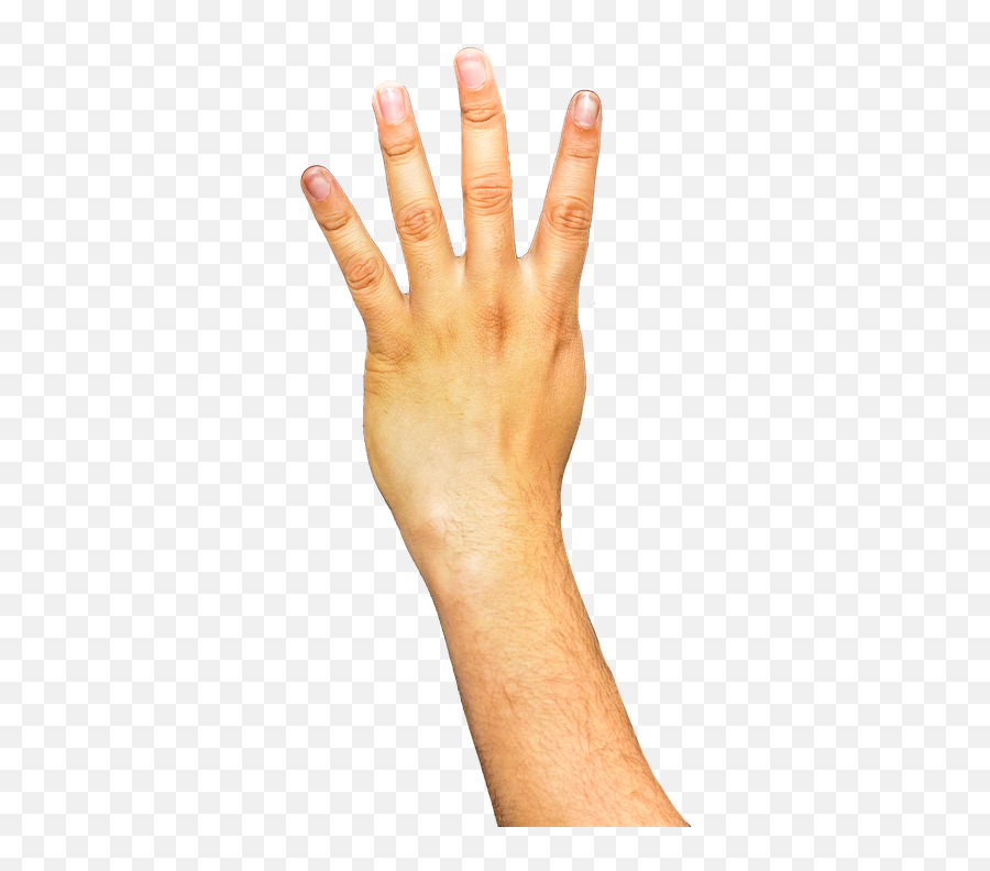 Hand Download - Arm Transparent Background Png Download Transparent Background Arm Transparent Emoji,Hand Png