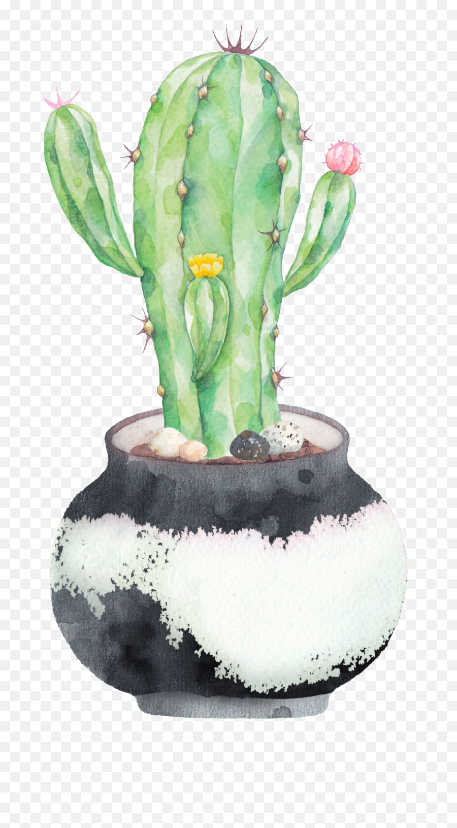 Cactus Png Transparent Png Image - Cactus Png Transparent Clipart Emoji,Cactus Transparent Background