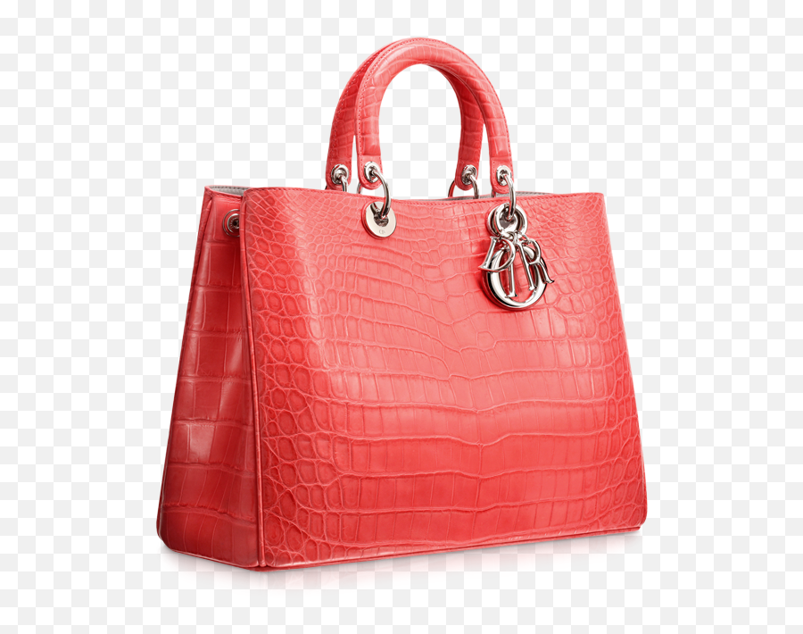 Dior Cruise 2013 Bag Collection Spotted Fashion - Bayan Çanta Modelleri Png Emoji,Christian Dior Logo
