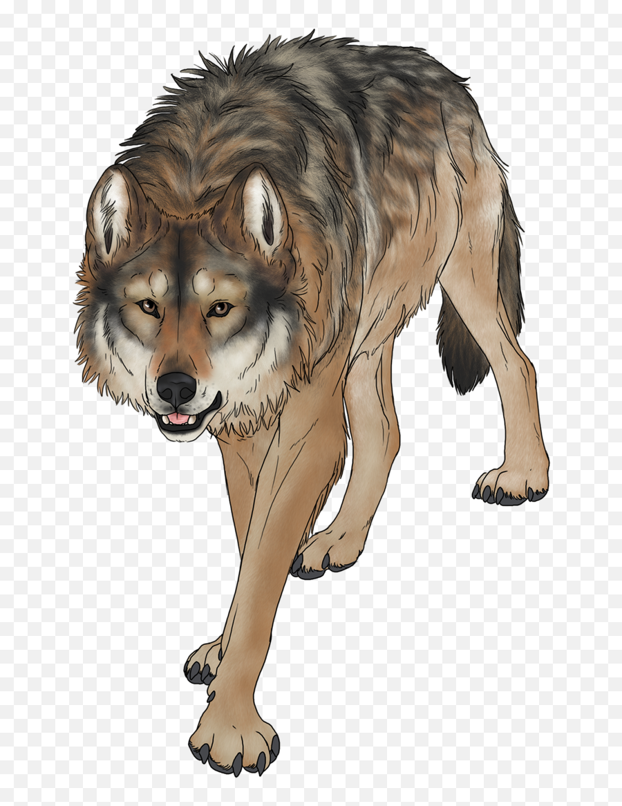 Wolf Png - Wondering Wolf Pathfinder Wolf Transparent Northern Breed Group Emoji,Wolf Png
