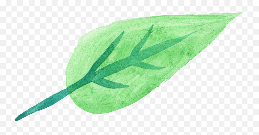 10 Watercolor Leaf Png Transparent Onlygfxcom - Green Transparent Watercolour Leaf Emoji,Watercolor Leaves Png