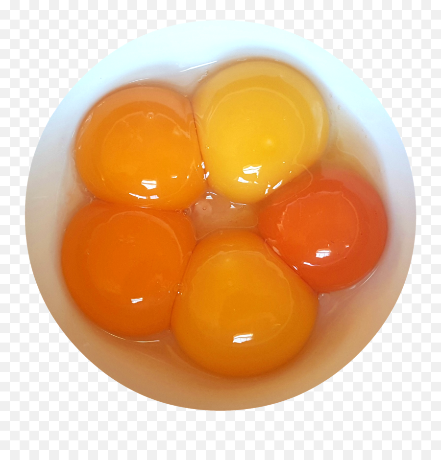 Download Are Fresh Eggs Really - Full Breakfast Png Image Emoji,Breakfast Eggs Clipart