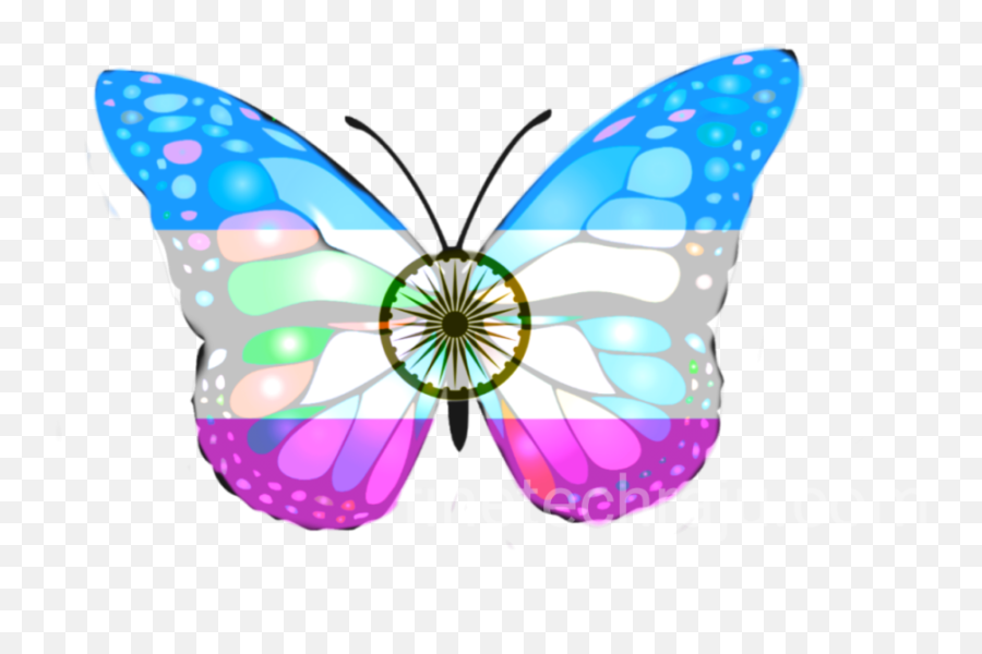 Clip Art Butterfly Png Images Transparent Background Png Play Emoji,Butterfly Clipart Transparent Background