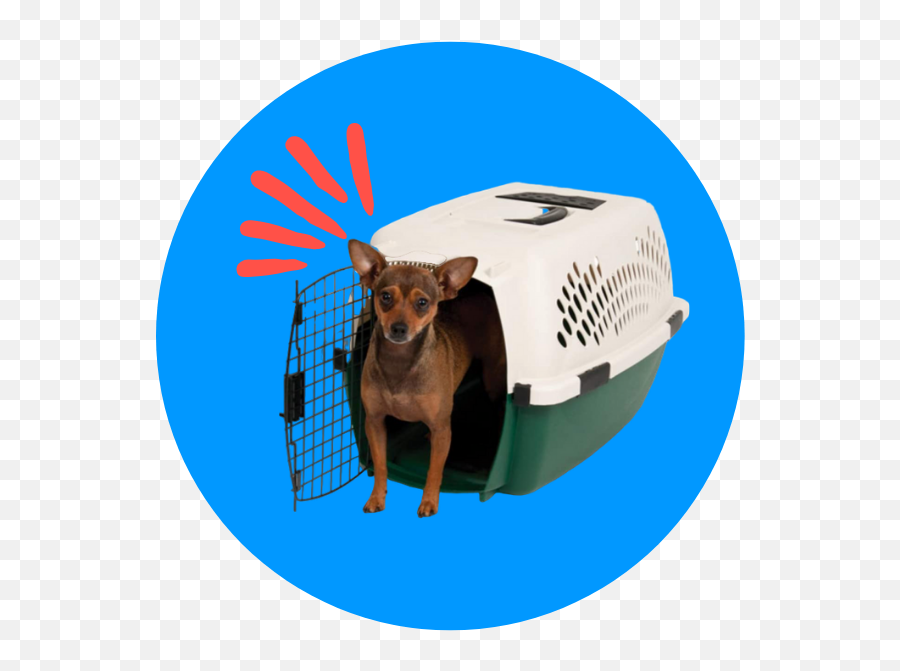 Crate Train Your Dog With The Best Dog Crates For 2021 Emoji,Crate & Barrel Logo