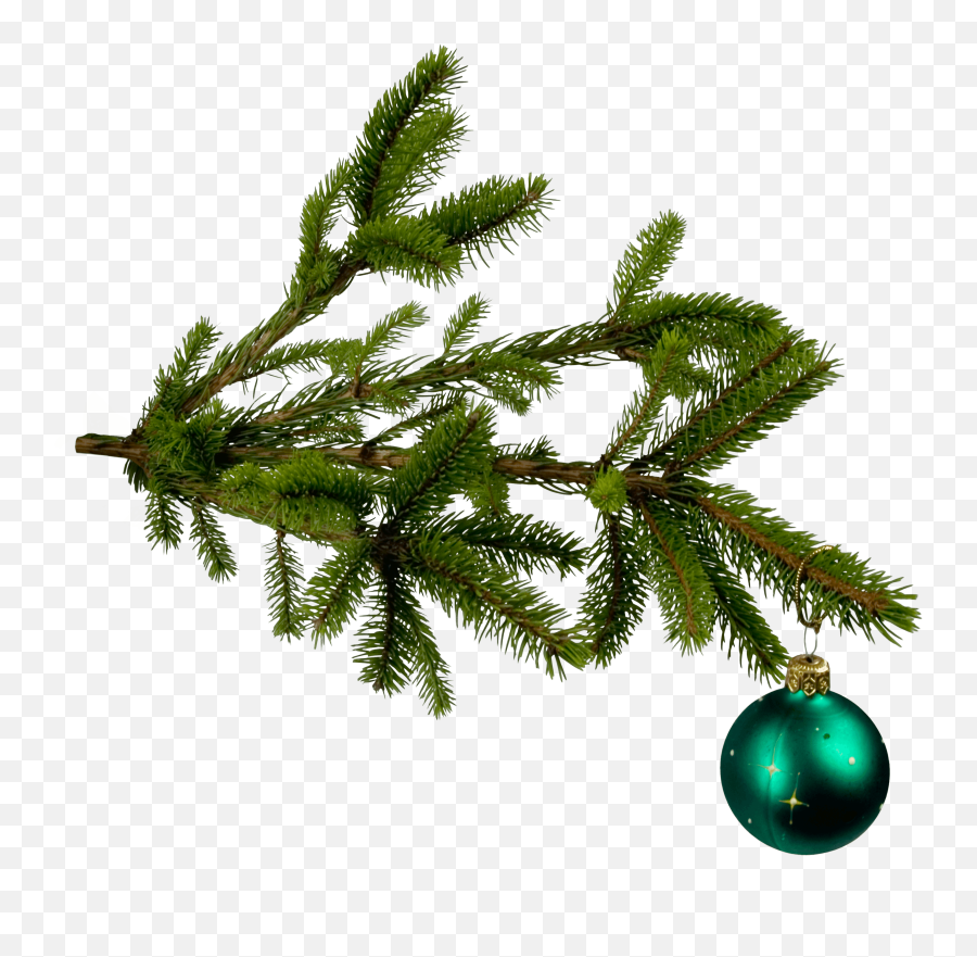 Download Christmas Png Image Hq Png - Christmas Tree Twig Png Emoji,Christmas Png