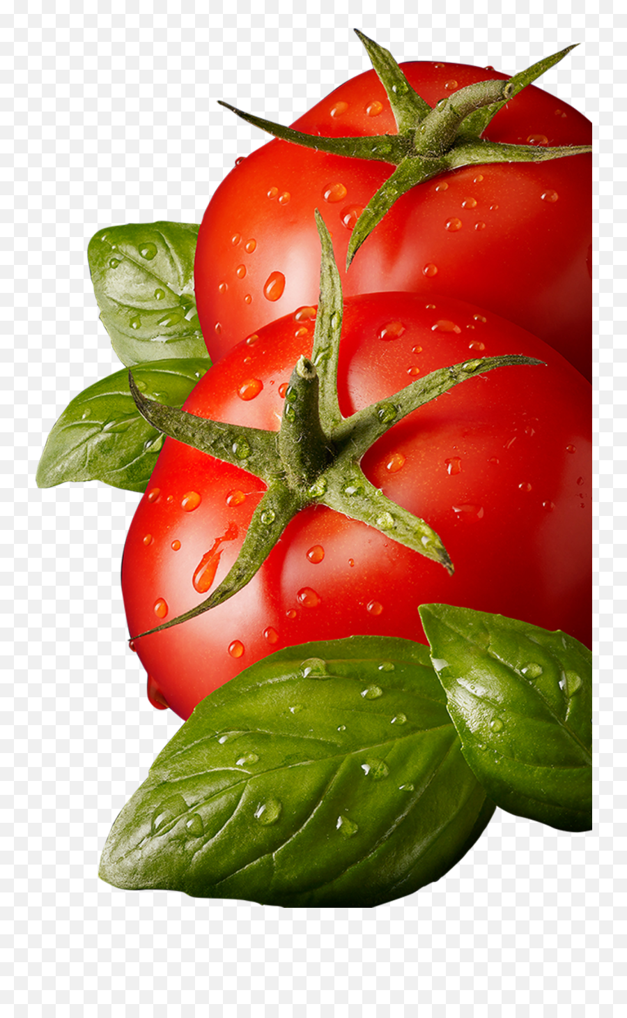Tomato Png - Tomato Png Emoji,Tomato Png