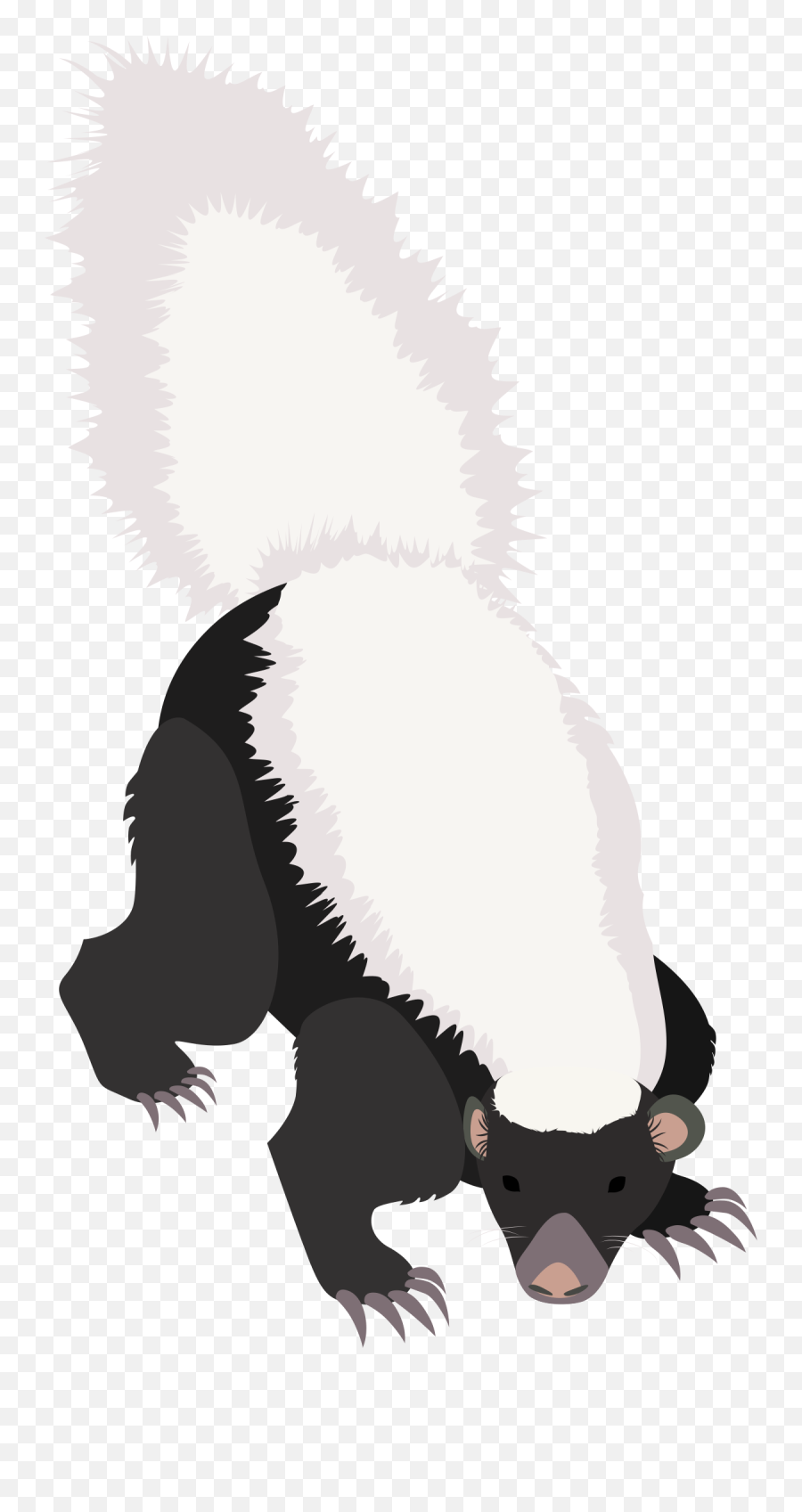American Hog - Nosed Skunk Clipart Free Download Transparent Striped Skunk Emoji,Skunk Clipart