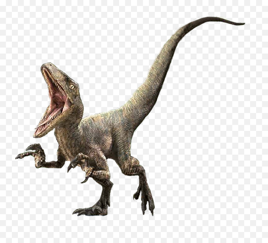 Jurassic World Raptor Png Picture - Velociraptor Transparent Emoji,Raptor Png