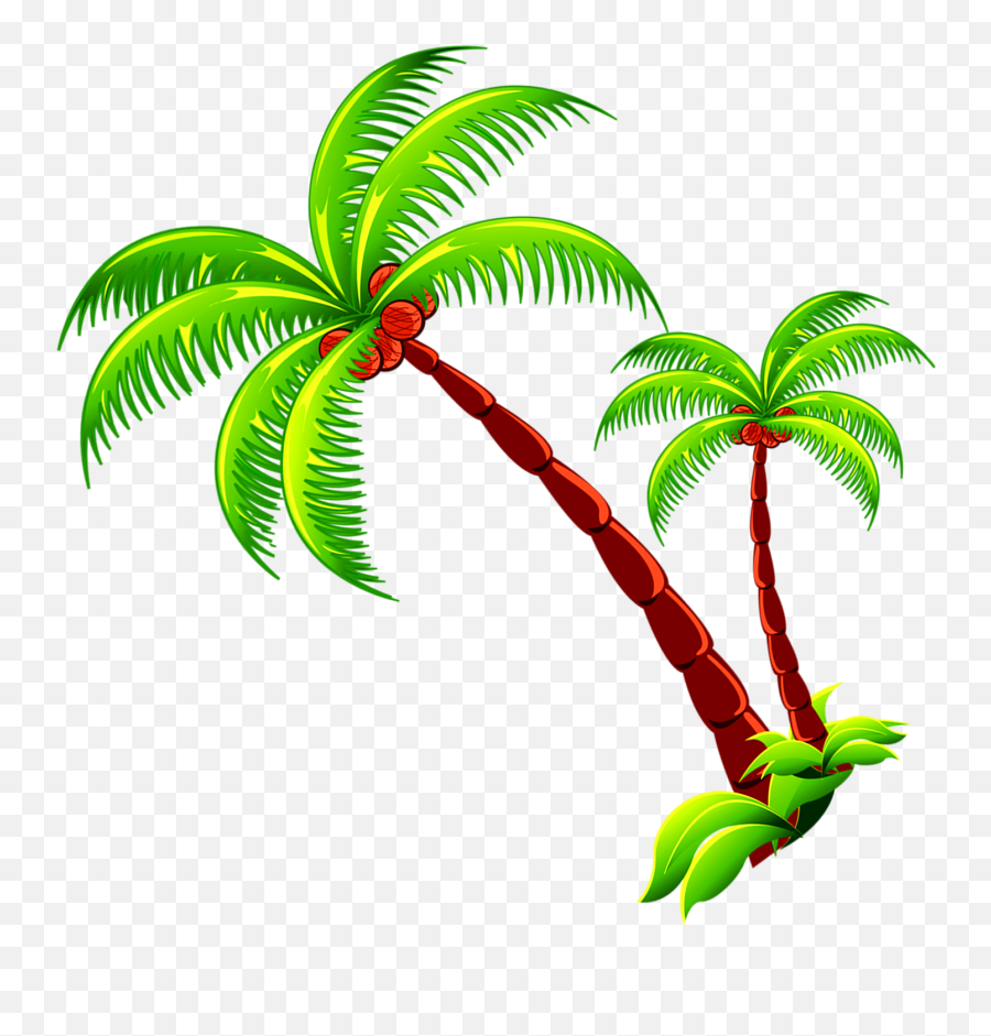 Coconut Tree Branch Free Photo Png Clipart - Coconut Tree Fresh Emoji,Trees Clipart