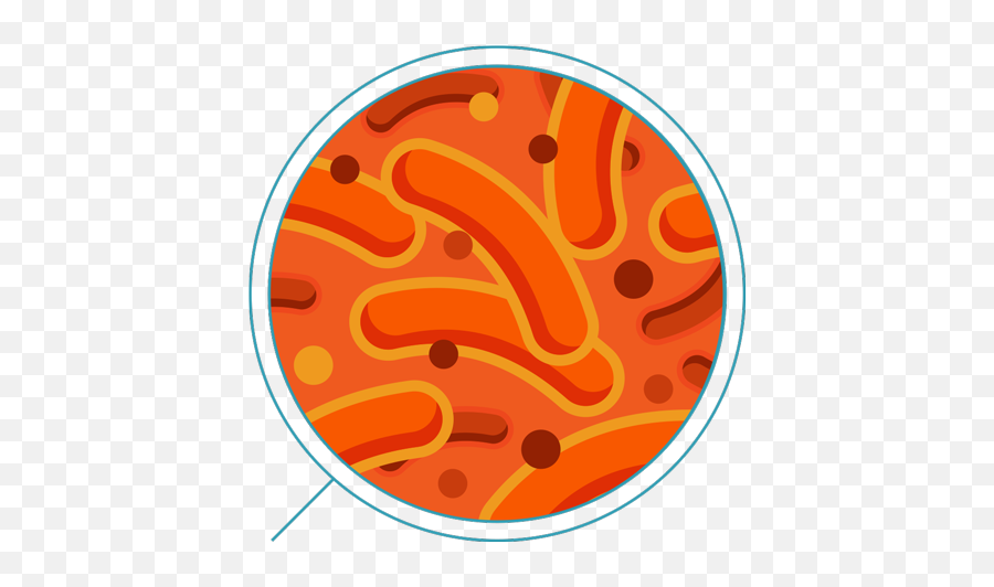 Iron - Iron Oxidizing Bacteria Emoji,Bacteria Png