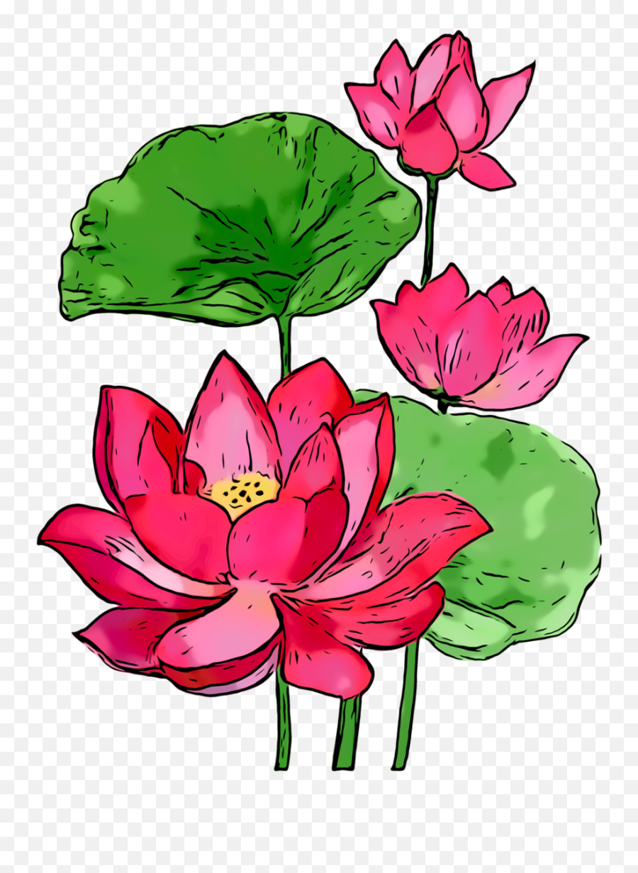 Summer Background Flowers Clipart - Sacred Lotus Png Emoji,Summer Flowers Clipart