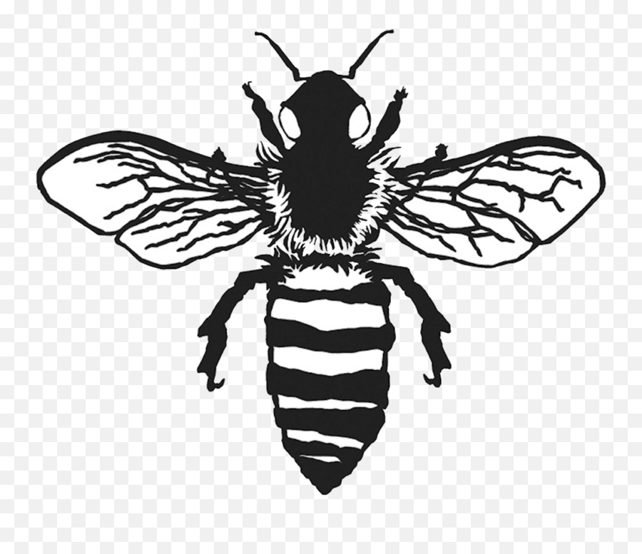 Download Vintage Bee Png - Honeybee Png Image With No Emoji,Bee Transparent Background