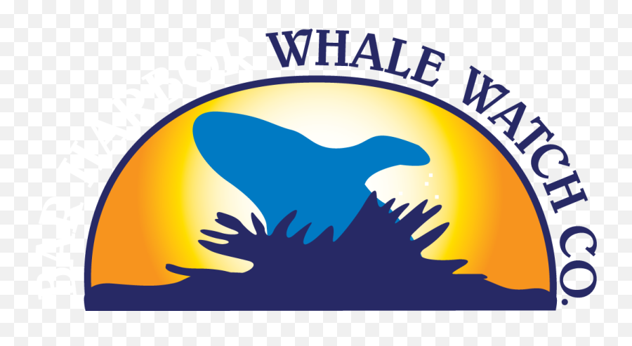 Home - Bass Harbor Whale Watch Co Emoji,Whale Logo