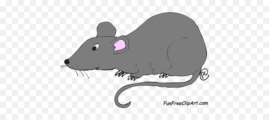 Rat Clipart Transparent - Clipart Of Rat Png Full Size Png Clipart Images Of Rat Emoji,Rat Transparent Background