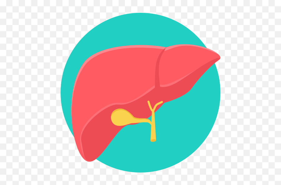 Liver Free Icon - Liver Png Emoji,Liver Clipart