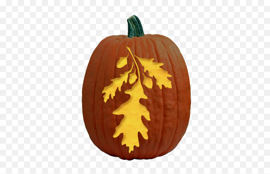 Oak Leaves - The Pumpkin Lady Thanksgiving Pumpkin Carving Carved Thanksgiving Pumpkin Designs Emoji,Pumpkin Outline Png