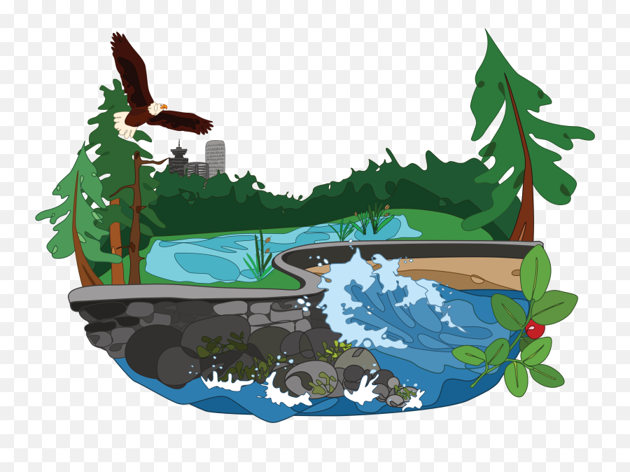 The State Of Ecological Integrity In Stanley Park - Ecosystem Restoration In Clipart Emoji,Stewardship Clipart