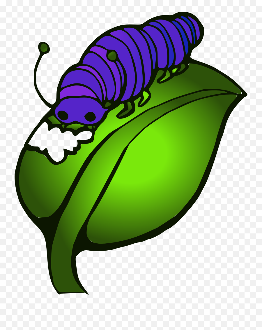 Caterpillar Eating Leaf Clipart Free Download Transparent - Clipart Caterpillar Eating Leaf Emoji,Eating Png