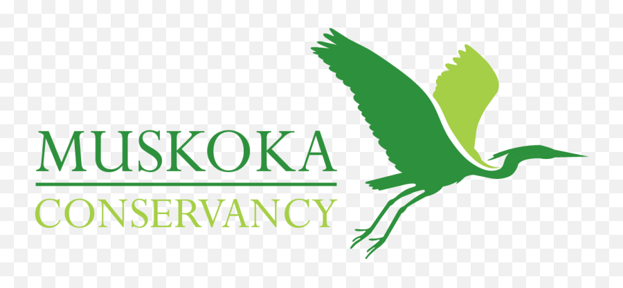 Muskoka Conservancy Nature Conservation - Muskoka Conservancy Emoji,Nature Conservancy Logo
