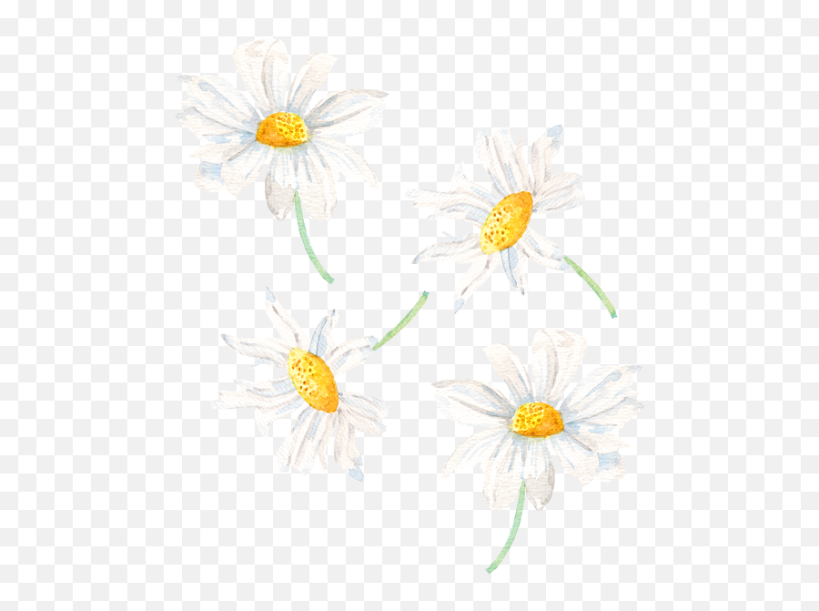 Watercolour Yellow And White Daisy Pattern Tank Top For Sale Emoji,White Daisy Png