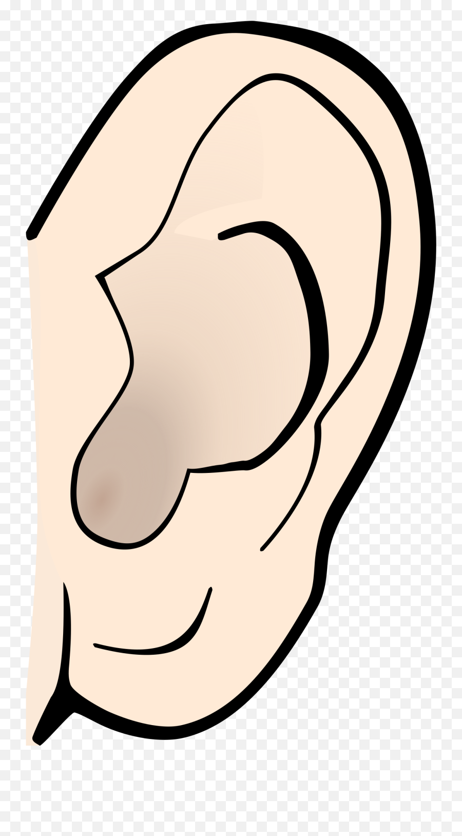 Ear Clipart 2 - Nose Sense Organs Clipart Emoji,Ear Clipart