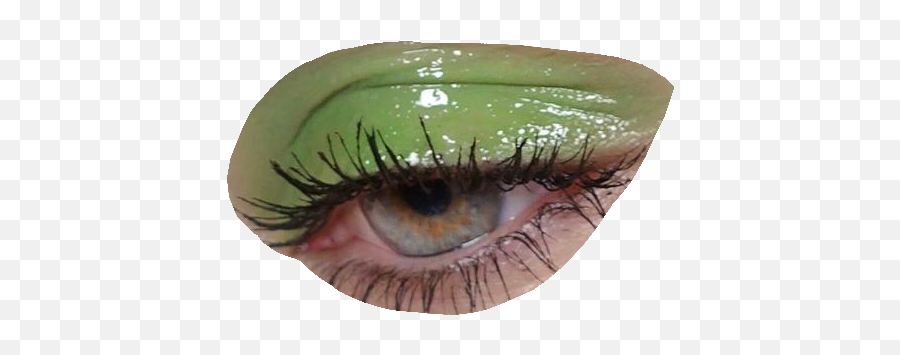 Áedpng Theymakemoodboards Instagram Green Eye Áedpng - Green Glossy Lid Makeup Emoji,Red Eyes Meme Png