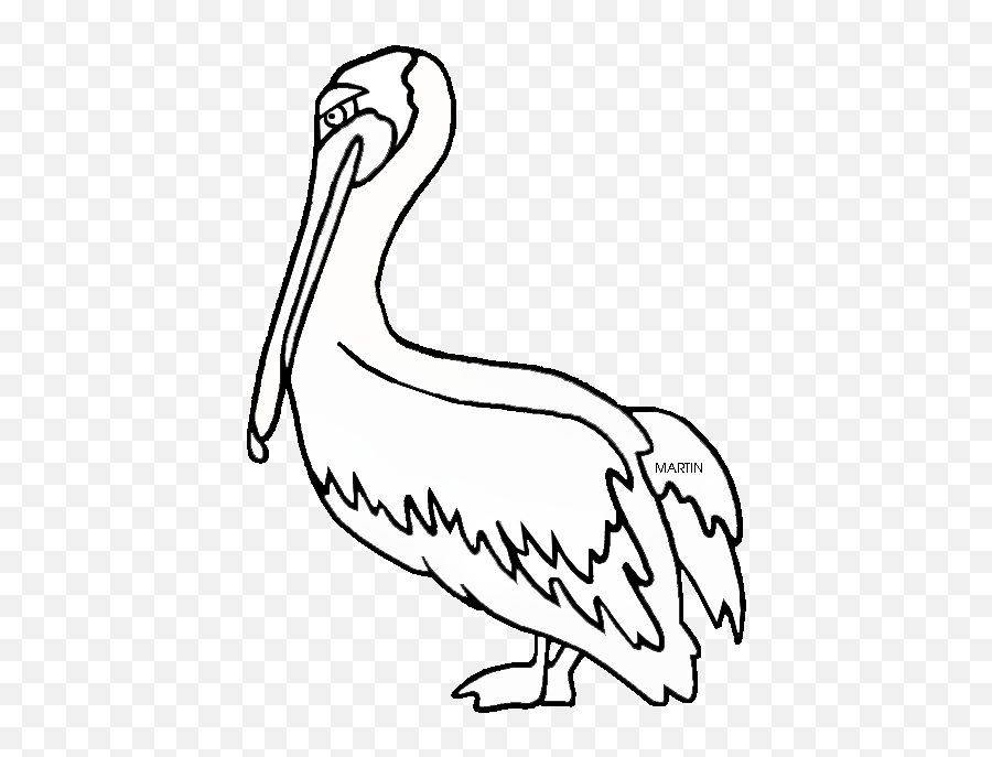 Brown Pelican Black And White Clipart - Coloring Page Louisiana State Bird Emoji,Pelican Clipart