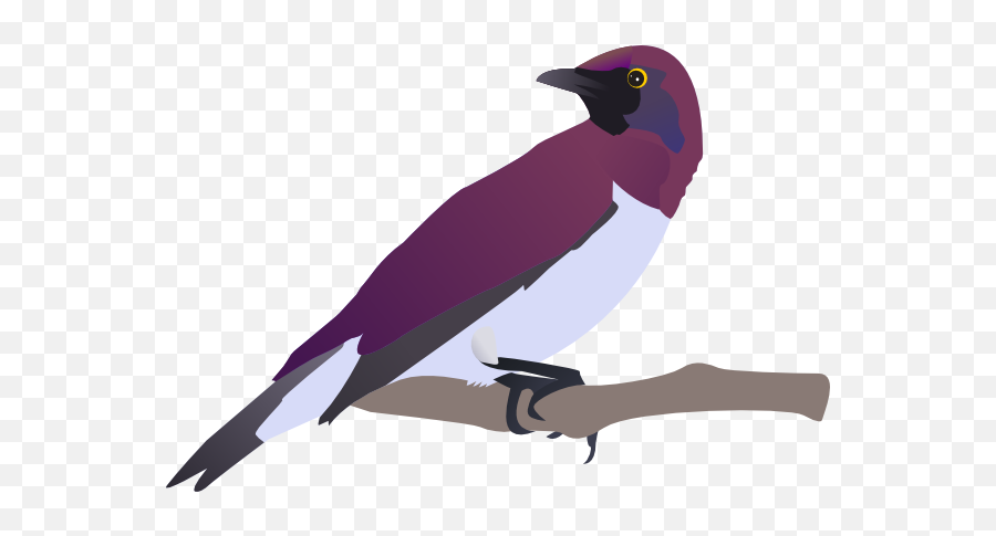Free Bird Clip Art Clipart Clipartcow - Violet Backed Starling Png Emoji,Free Bird Clipart
