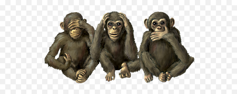 Home The Three Monkeys Coffee Teahouse - Sharing Emoji,Monkey Png
