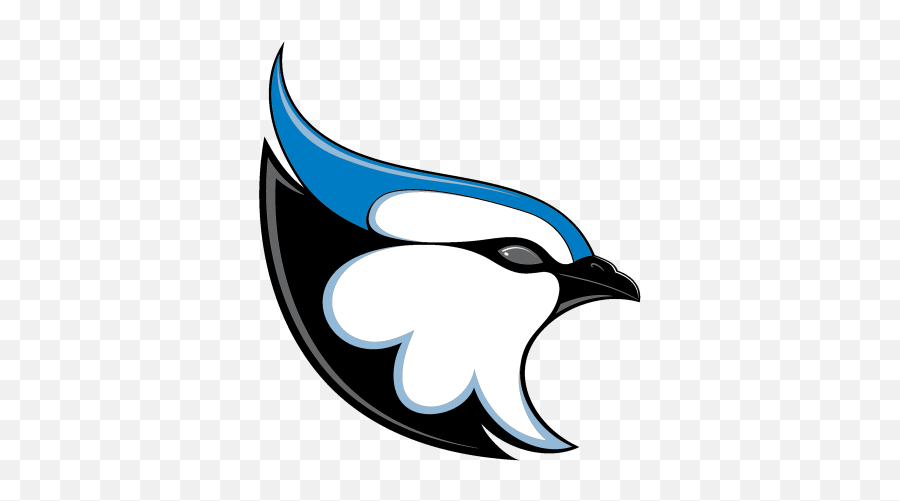 Athleticknit Logos For Your Custom Jerseys And Teamwear Emoji,Blue Jays Logo Png