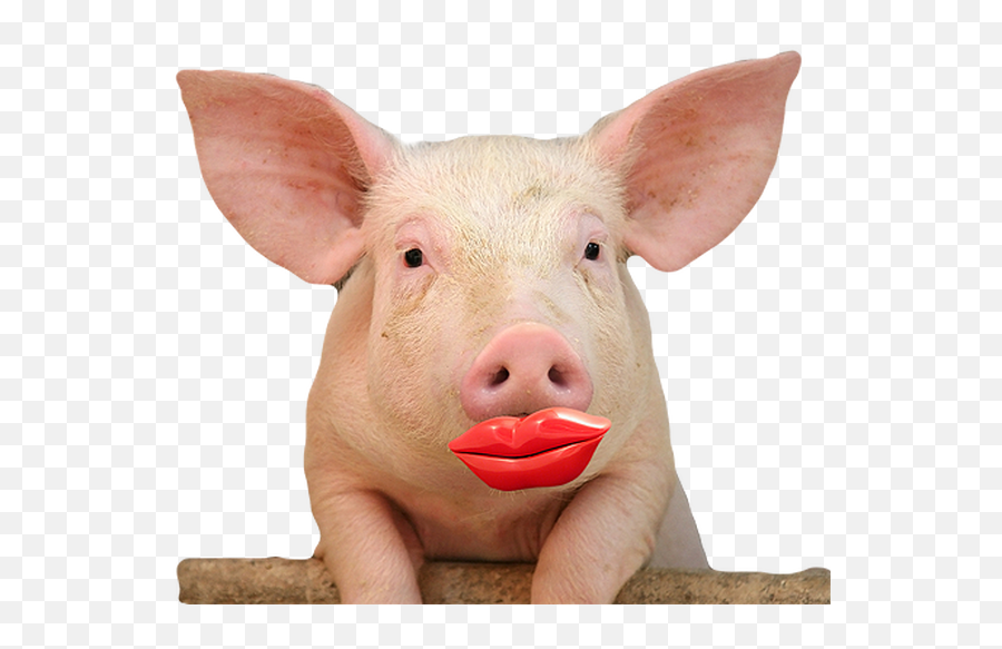 Lipstick - Lipstick On A Pig Emoji,Lipstick Clipart